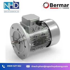 Động cơ nam châm vĩnh cửu Bermar