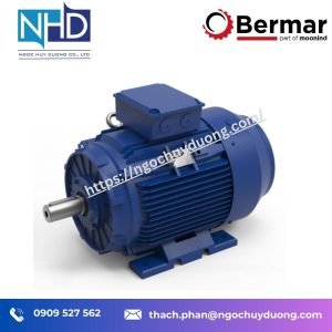 Động cơ điện nhập khẩu dòng IM – Bermar