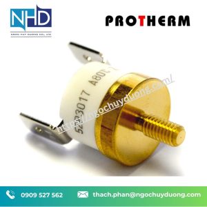 Bộ điều khiển nhiệt độ gốm sứ Protherm