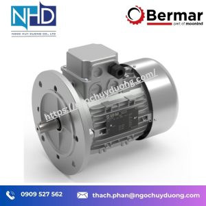 Động cơ điện Bermar phiên bản tiêu chuẩn