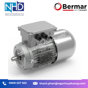 Động cơ phanh Bermar