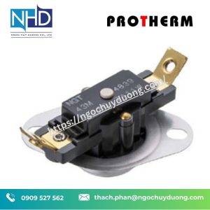 Bộ giới hạn nhiệt độ ¾ inch ProTherm