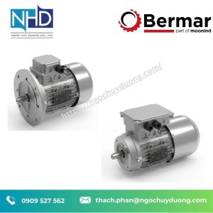 Động cơ điện nhập khẩu dòng IM – Bermar