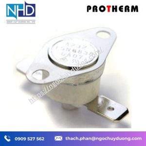Bộ giới hạn nhiệt độ gốm sứ ProTherm
