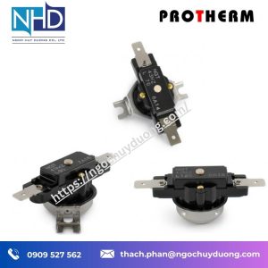 Bộ giới hạn nhiệt độ ¾ inch ProTherm