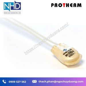 Bộ giới hạn nhiệt độ SP1 / SR6 ProTherm