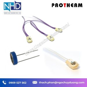 Máy theo dõi nhiệt độ PTC ProTherm