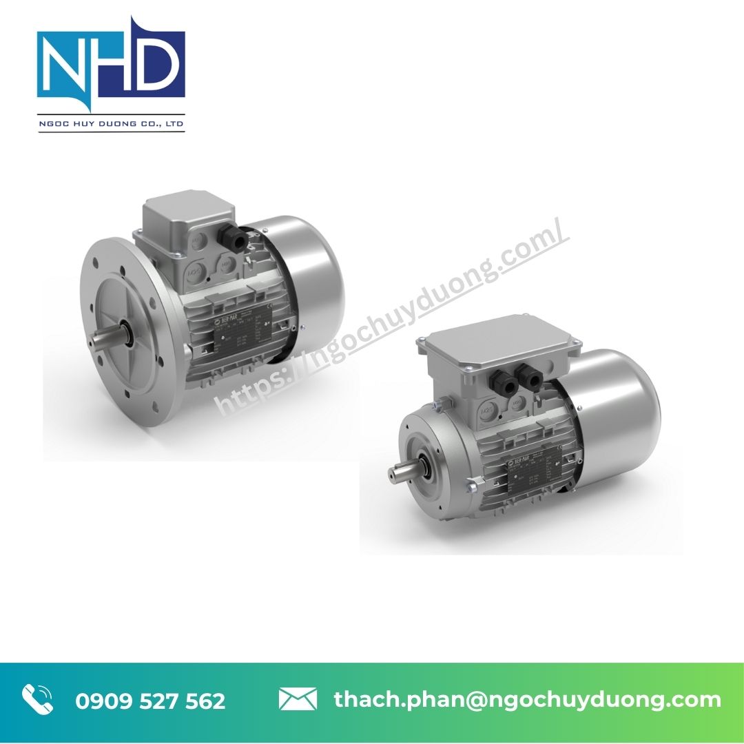 Động cơ điện Bermar phiên bản tiêu chuẩn