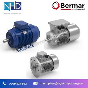 Động cơ điện nhập khẩu dòng IM – Bermar