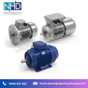 Động cơ điện Bermar phiên bản tiêu chuẩn