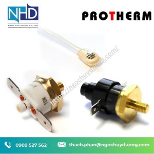 Bộ giới hạn nhiệt độ SP1 / SR6 ProTherm