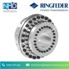 Khớp nối mặt bích TNF 5571 RINGFEDER