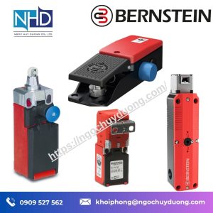 Công Tắc An Toàn SKT-U1Z M Bernstein