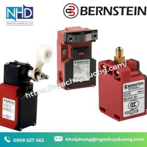 Công Tắc An Toàn SKT-U1Z M Bernstein