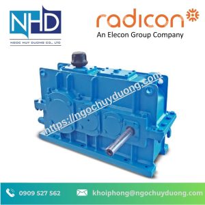 Hộp số cầu trục Radicon