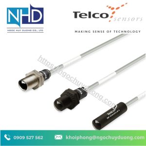 Cảm Biến Quang Telco Sensors SM 3000/CAT2
