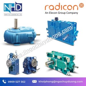Hộp số cầu trục Radicon