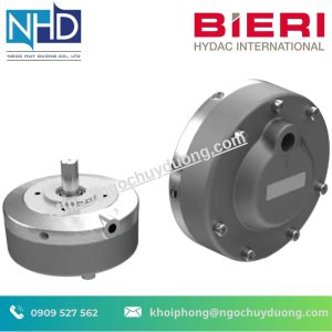Bơm Piston Hướng Tâm Bieri BRK701/702