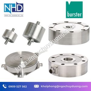 Cảm Biến Lực Đa Trục Burster 8565