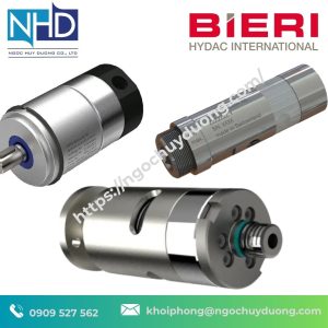 Bơm Piston Hướng Tâm Bieri BRK701/702