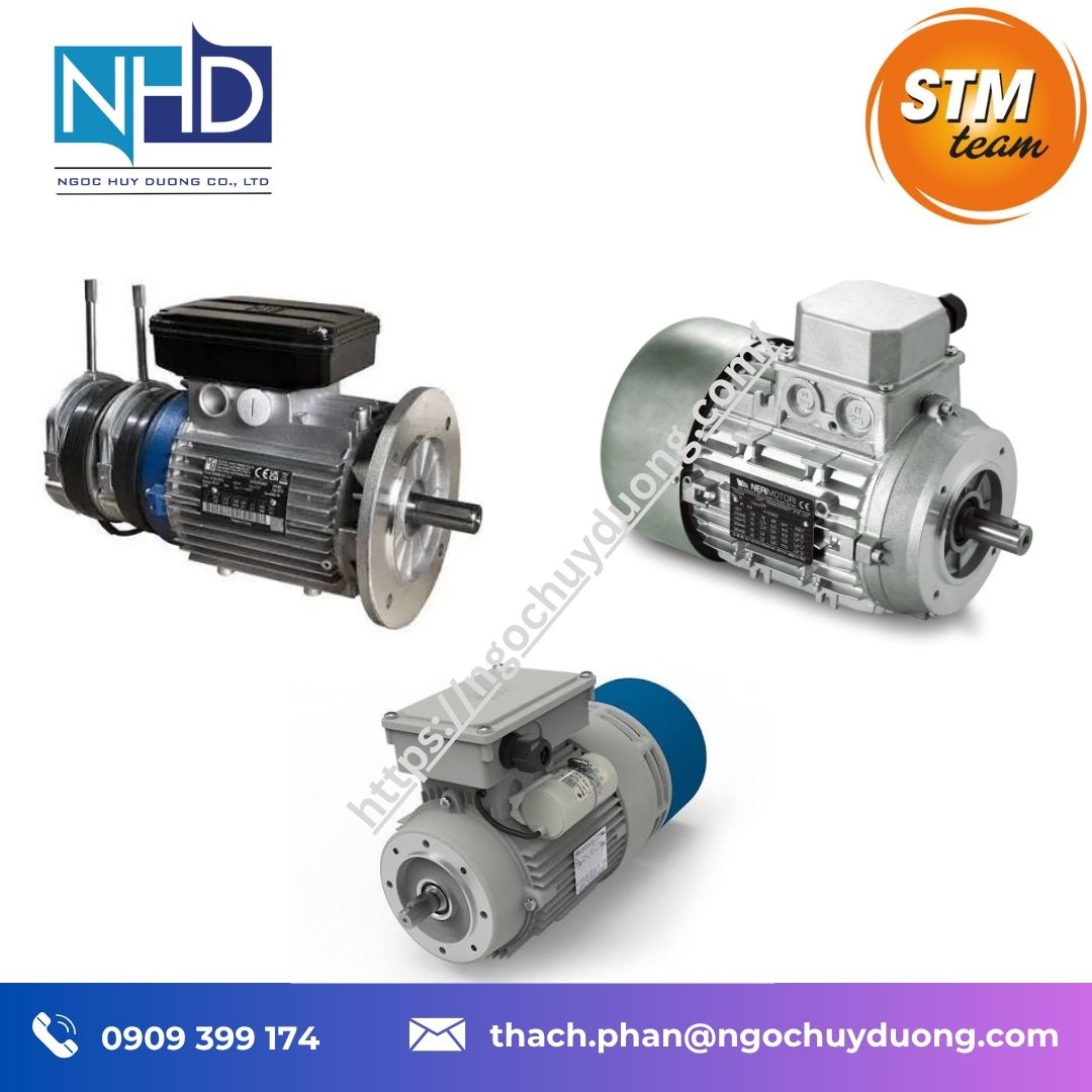 Đại lý giá tốt Động cơ điện STM T-M chính hãng – IE1, IE2, IE3, B3