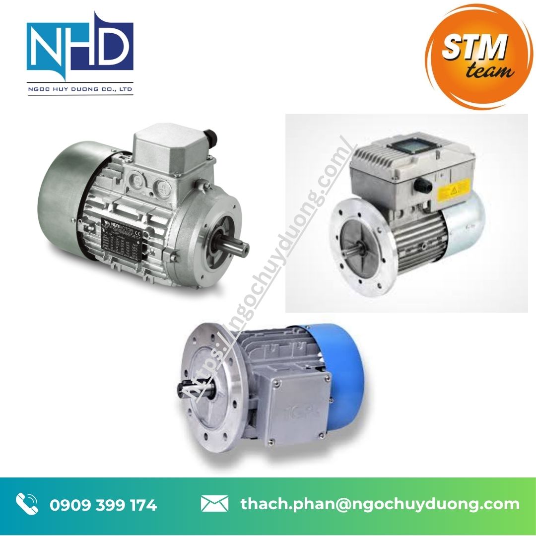 Động cơ điện STM T-M chính hãng – IE1, IE2, IE3, B3