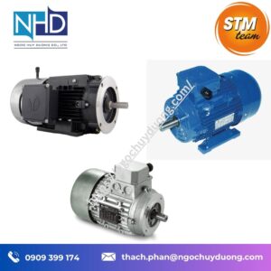 Tổng kho hàng sẵn Động cơ điện STM T-M chính hãng – IE1, IE2, IE3, B3