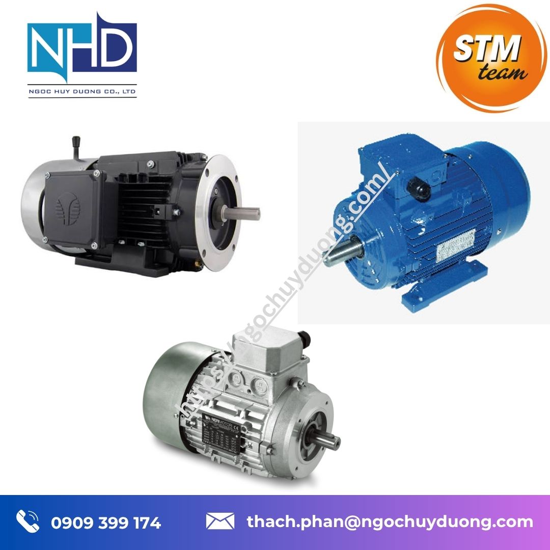 Tổng kho hàng sẵn Động cơ điện STM T-M chính hãng – IE1, IE2, IE3, B3