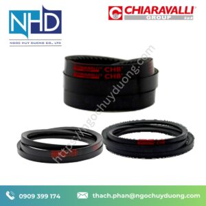 Dây curoa Chiaravalli CHB chính hãng – Báo giá nhanh